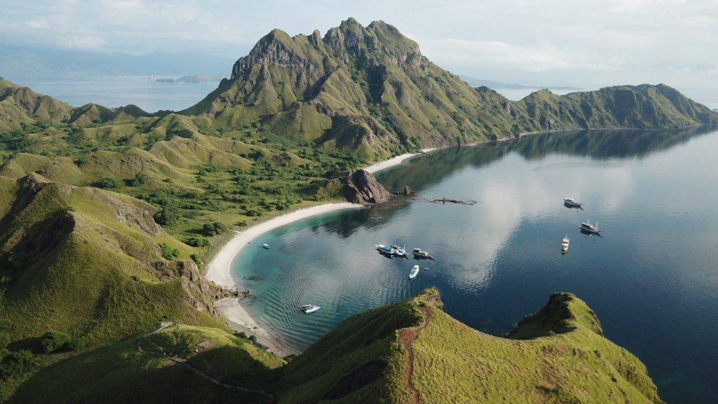 Komodo National Park Facts: Fees, Quota, Seasons & Wildlife