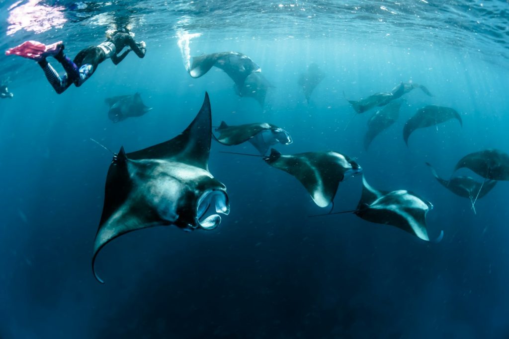 Best Time to Visit Komodo National Park (Month-by-Month)